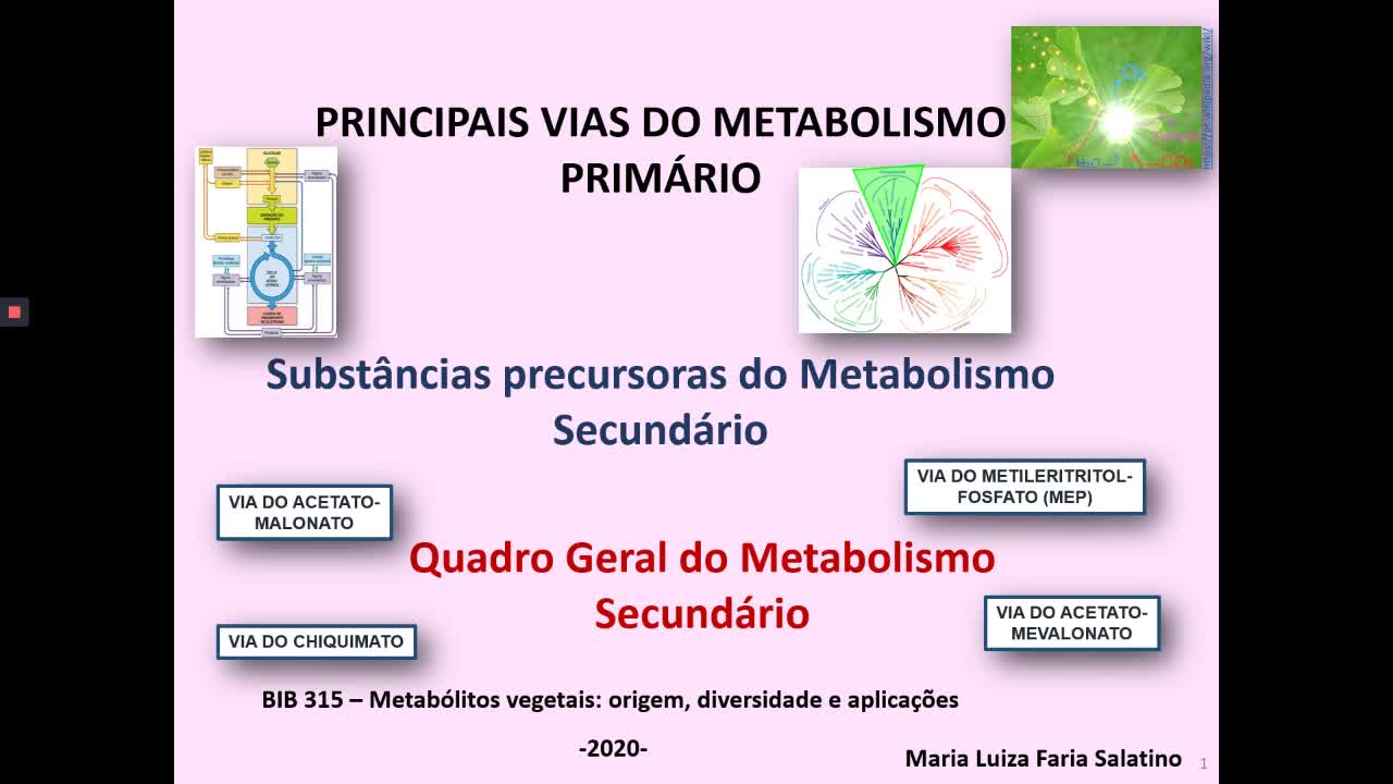 e-Aulas da USP :: Metabolismo primário e precursores do...