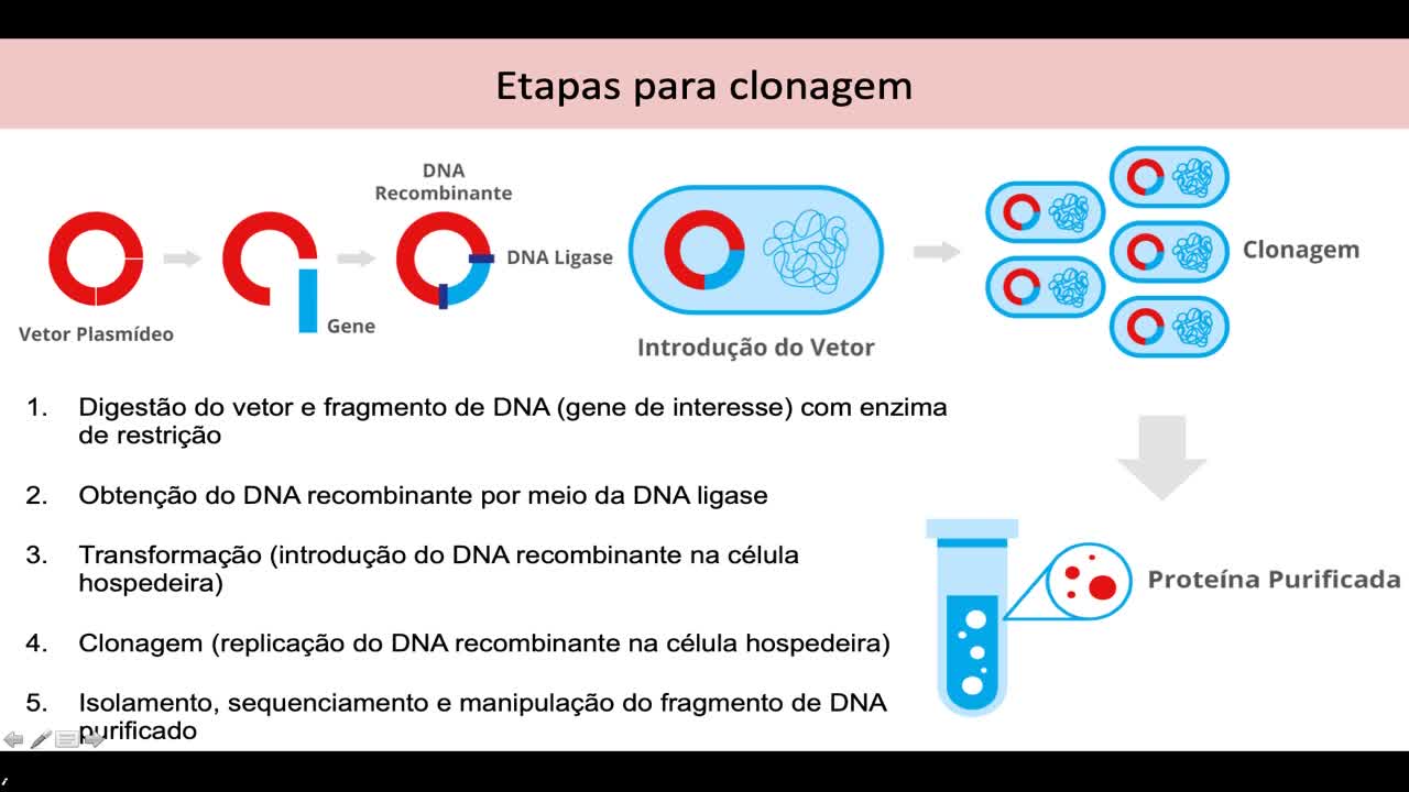Exemplo De Proteina Humana Produzida Pela Tecnologia Do Dna Recombinante